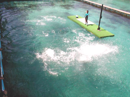 Flora, Fauna, Cartagena, Colombia